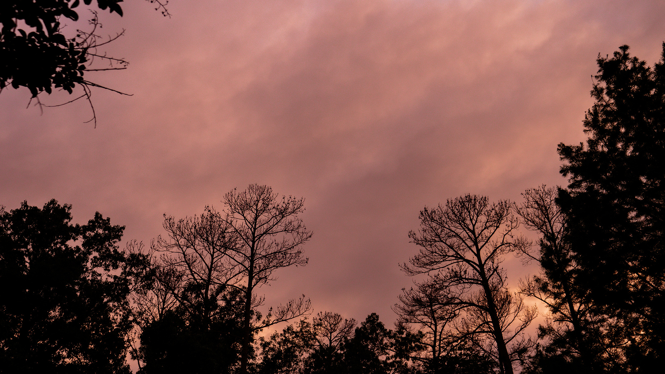 Sunset sky after a spring storm.