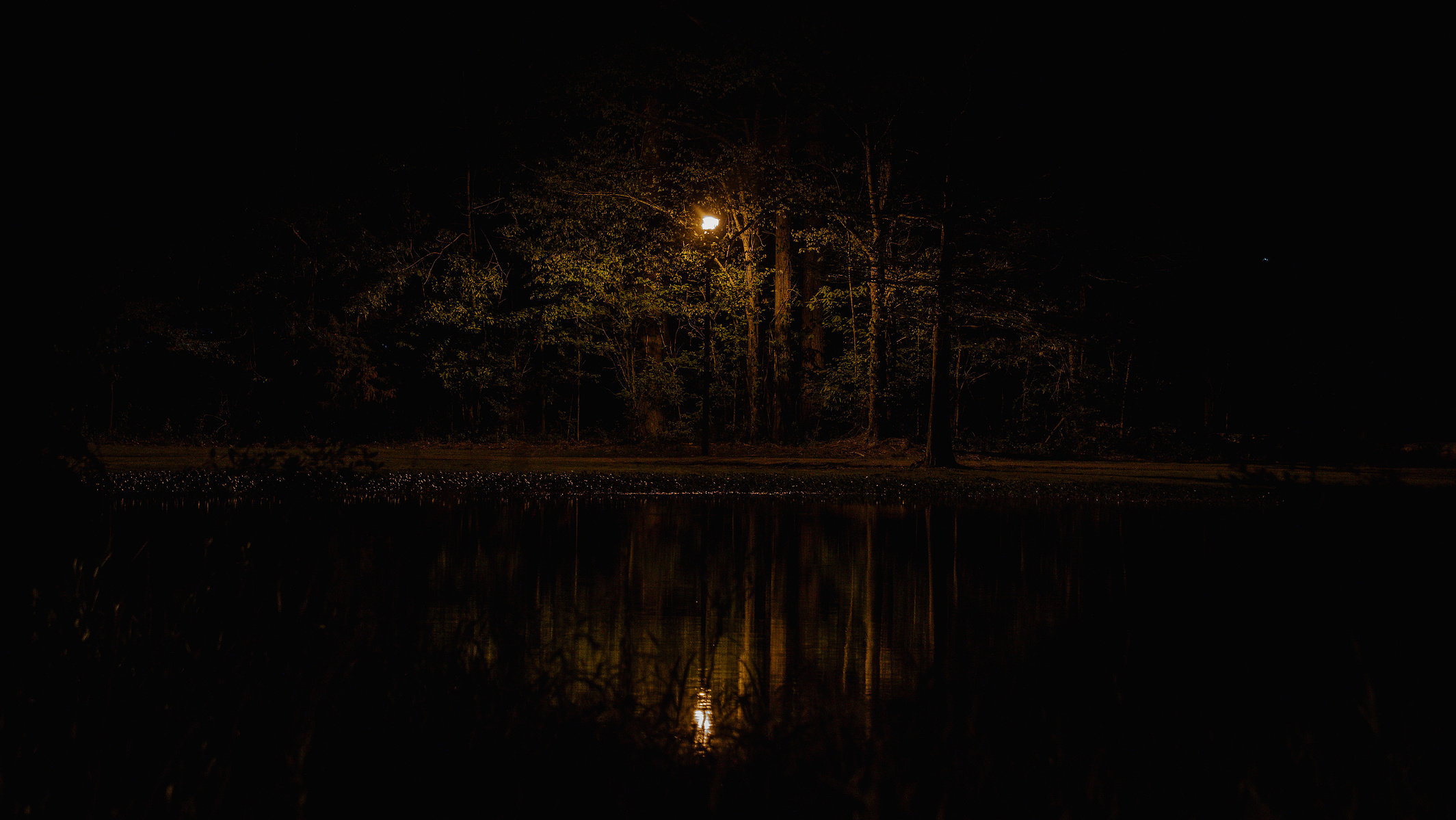 A lamp stand at night across the pond with the reflection on the water.