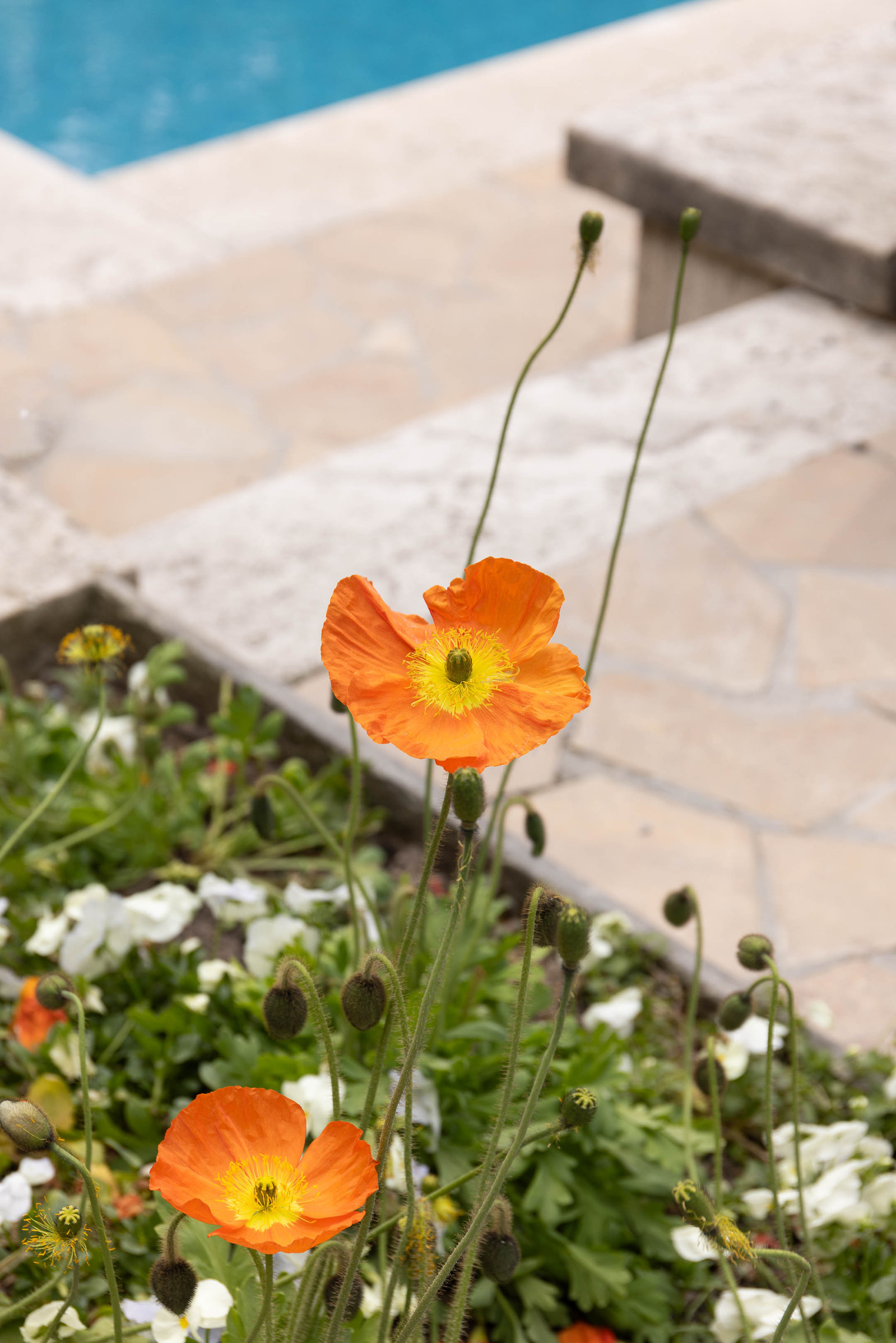 Villa Necchi Campiglio
Milan
Interiors
Interior Photographer
Interior Photographer Melbourne