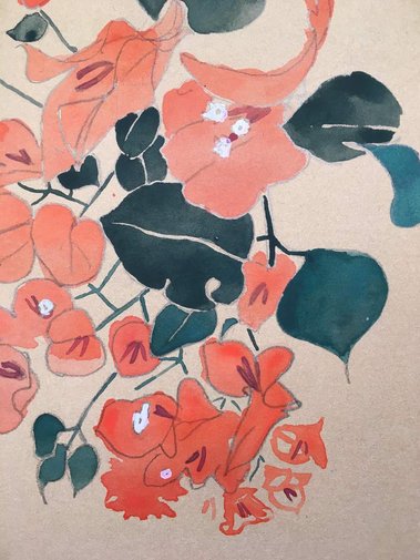 Bougainvillea  The flower that does the most heavy lifting in all of California.  This painting was done from observation, in natural light, in Altadena, California. Watercolor and pencil on stonehenge 