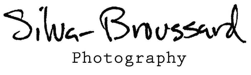 Chris's Portfolio