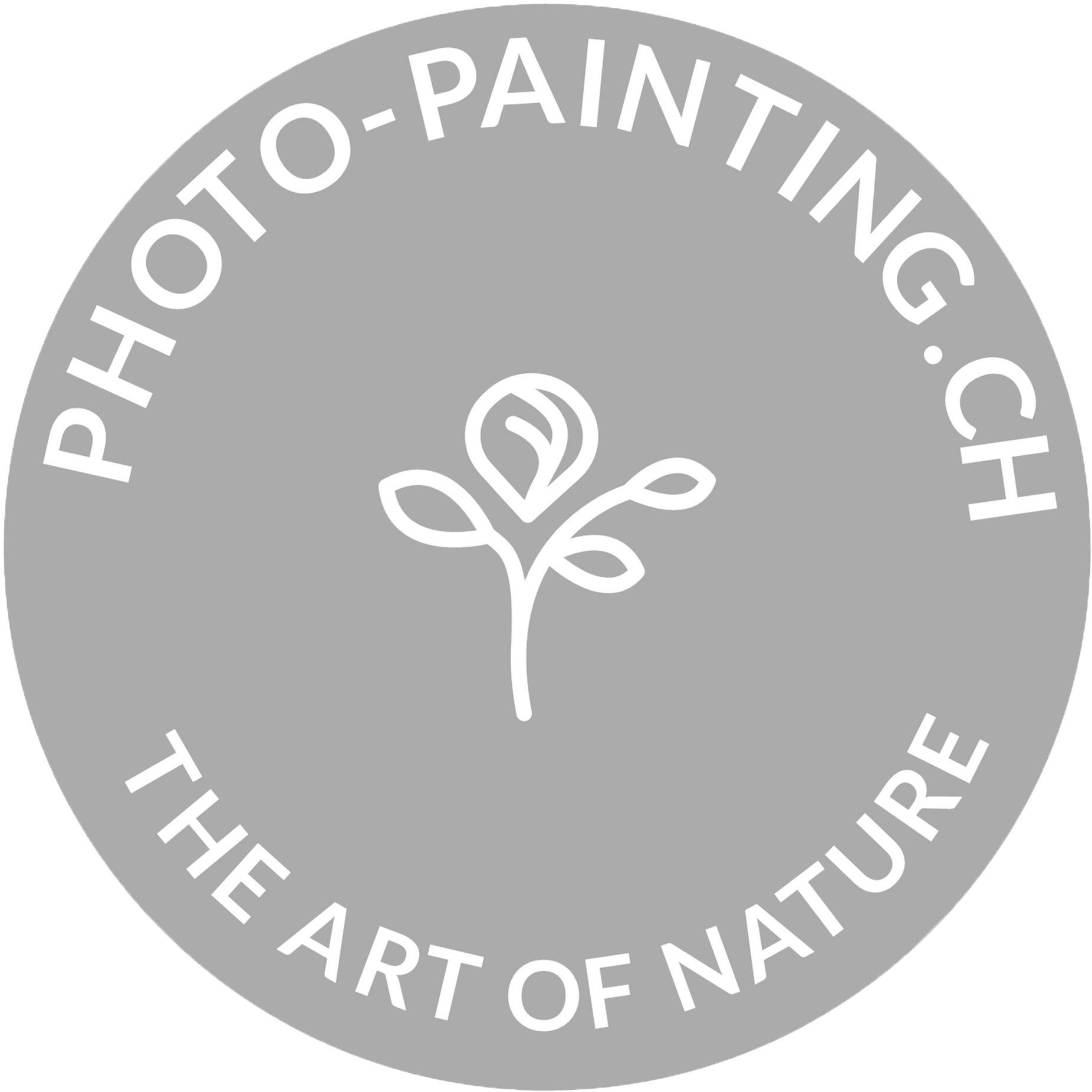 Remo Wuethrich's Portfolio