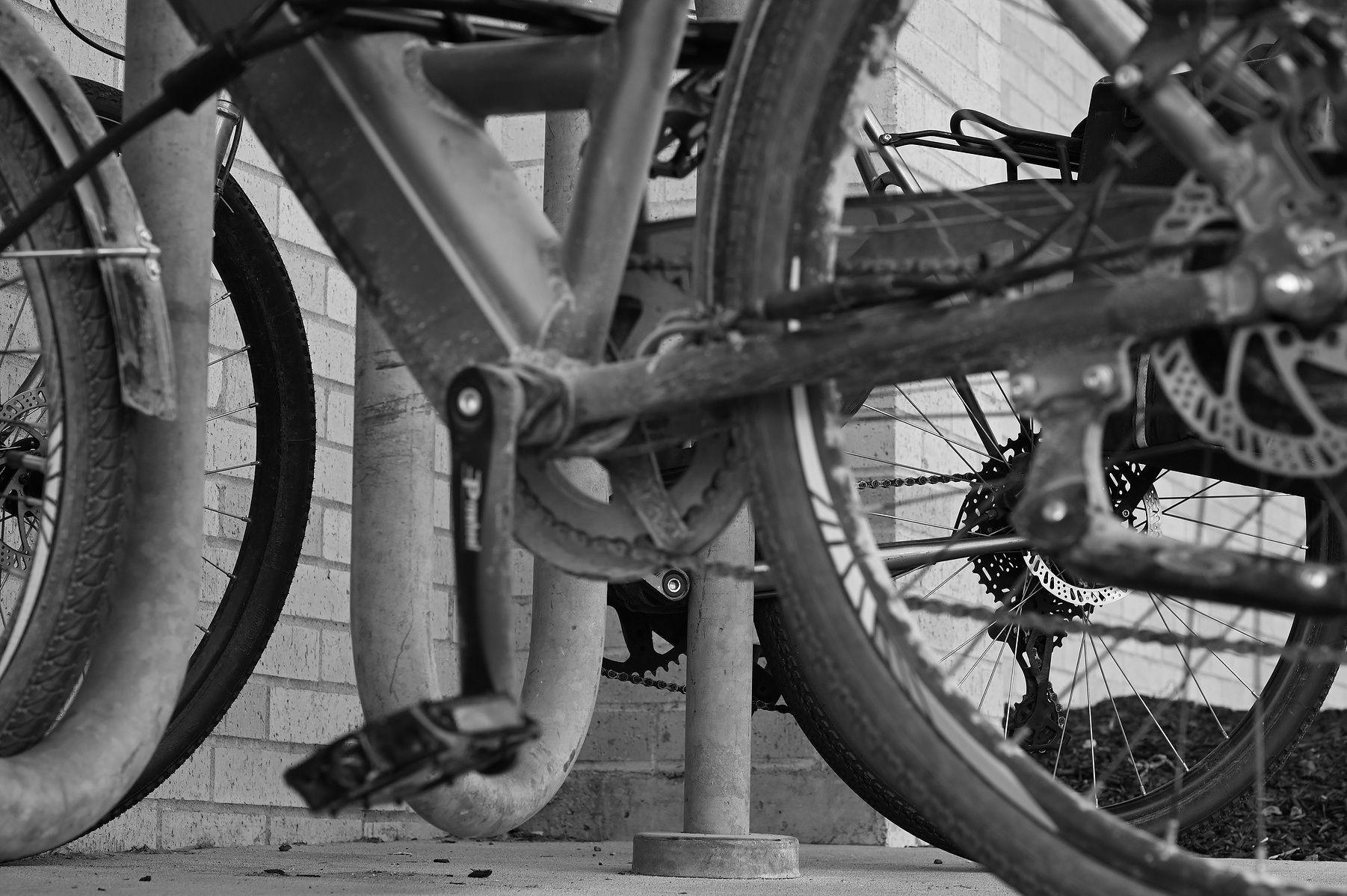 Bike rack. Columbia, Missouri.