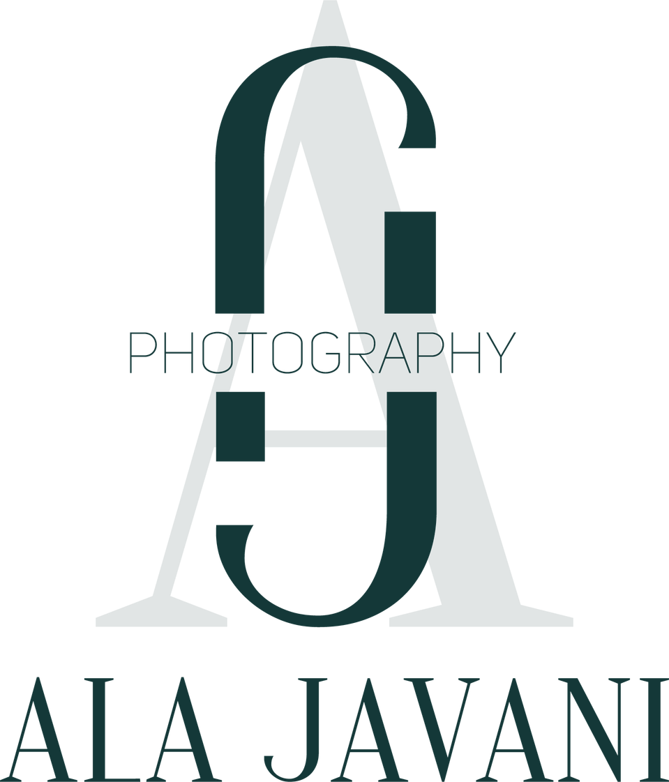 Ala Javani's Portfolio