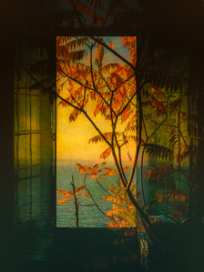 Photo-impressionist collage of a tree seen through a window frame