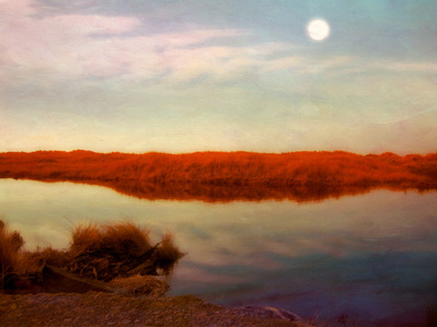 Photo impressionist marshland scene