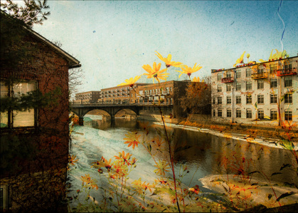 Composite image of the Fox River, a bridge and yellow flowers.