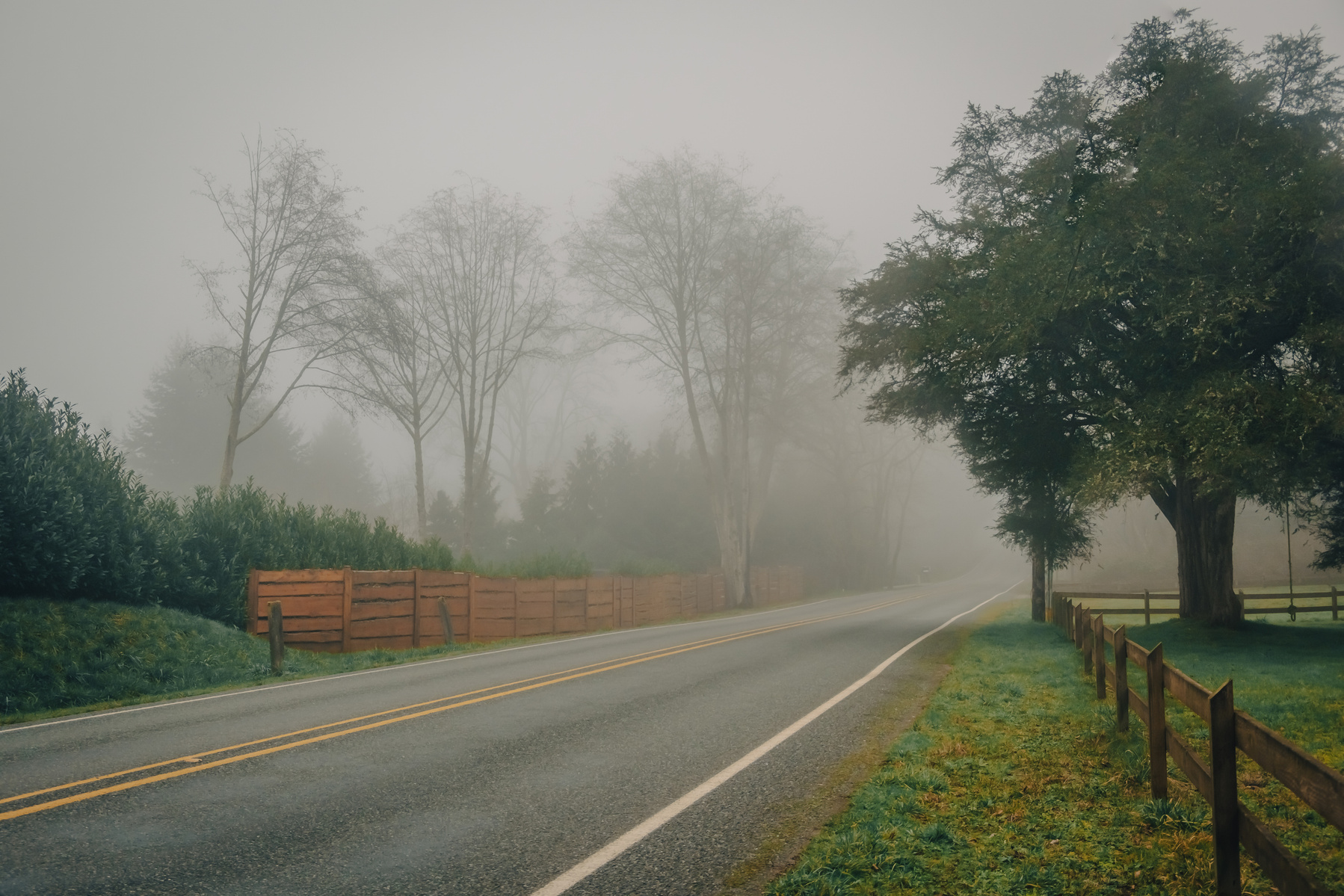 Foggy day in Langley