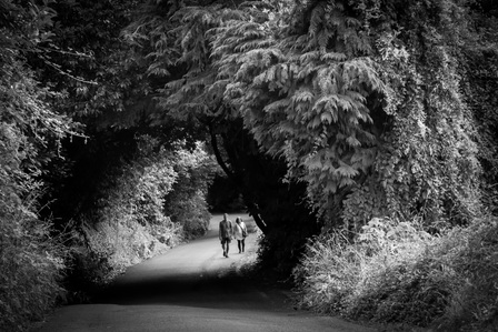 A couple walks up a hill through overhanging trees that create a tunnel effect.