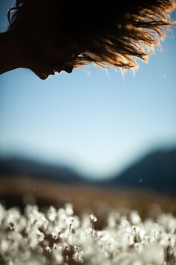 CATLAC : Série photo poétique 