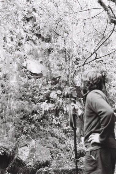 Pedro Vaz - Mata Atlântica
