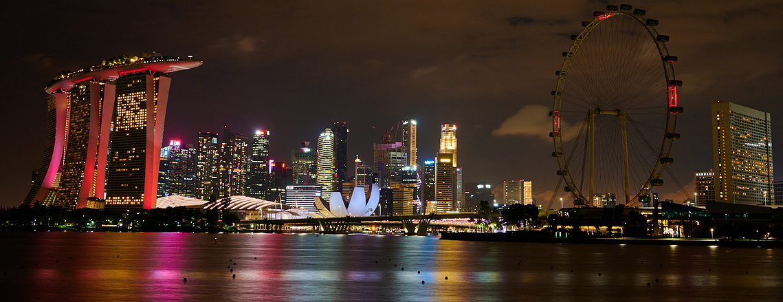 View on Singapore from Gardens by the Bay East