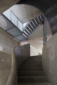 View up the stairs in the House with a Mango Tree designed by Linghao Architects.