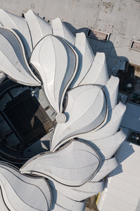 Top-down view of the petal-shaped roof structure of Hanzhou Olympic Stadium designed by NBBJ