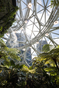 The steel structures of the Amazon Sphere are shaped like leaves.