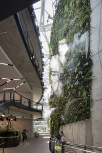 Misting are sprayed periodically within the Amazon Sphere to water the plants.