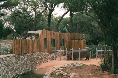 A lonely old hippopotamus in Hsinchu Zoo in Taiwan designed by Jay Chiu Architects under construction.