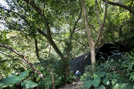 The Siu Siu Lab of Primitive Senses in Taipei, designed by Divooe Zein Architects, is surrounded by woods and nature.