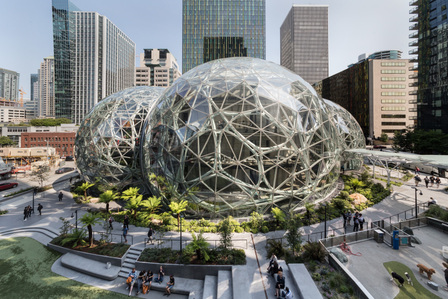 Overall view of the entire exterior of the Amazon Sphere.