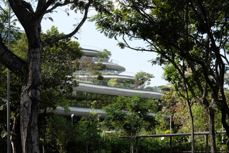 Wilmar Headquarters, designed by Eric Parry Architects, as seen through the surrounding trees.