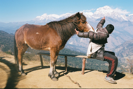 A Nepalese man with one hand on his horse and another hand pointing to a mountain range.