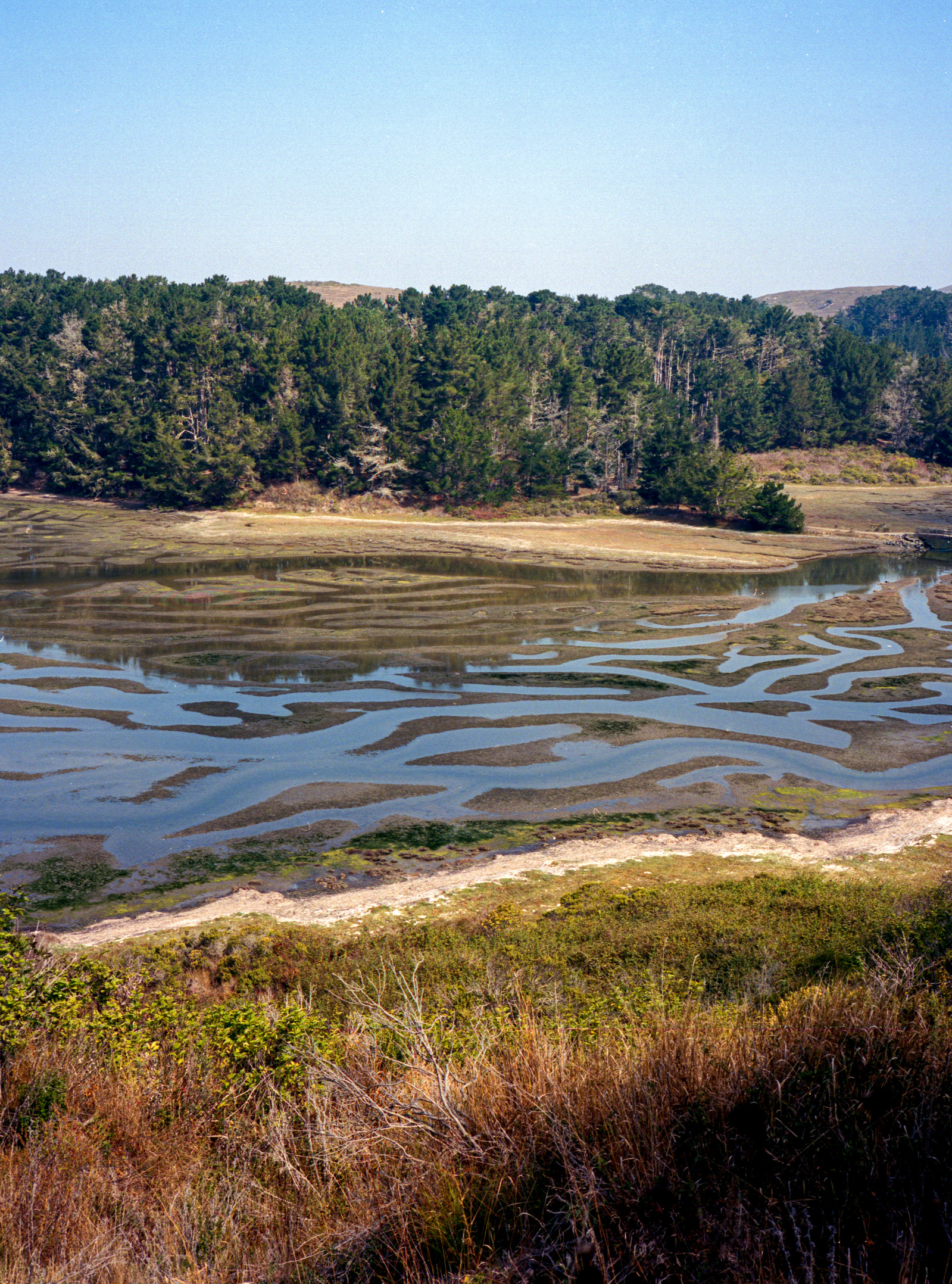 A landscape at Point Reyes. Shot on film