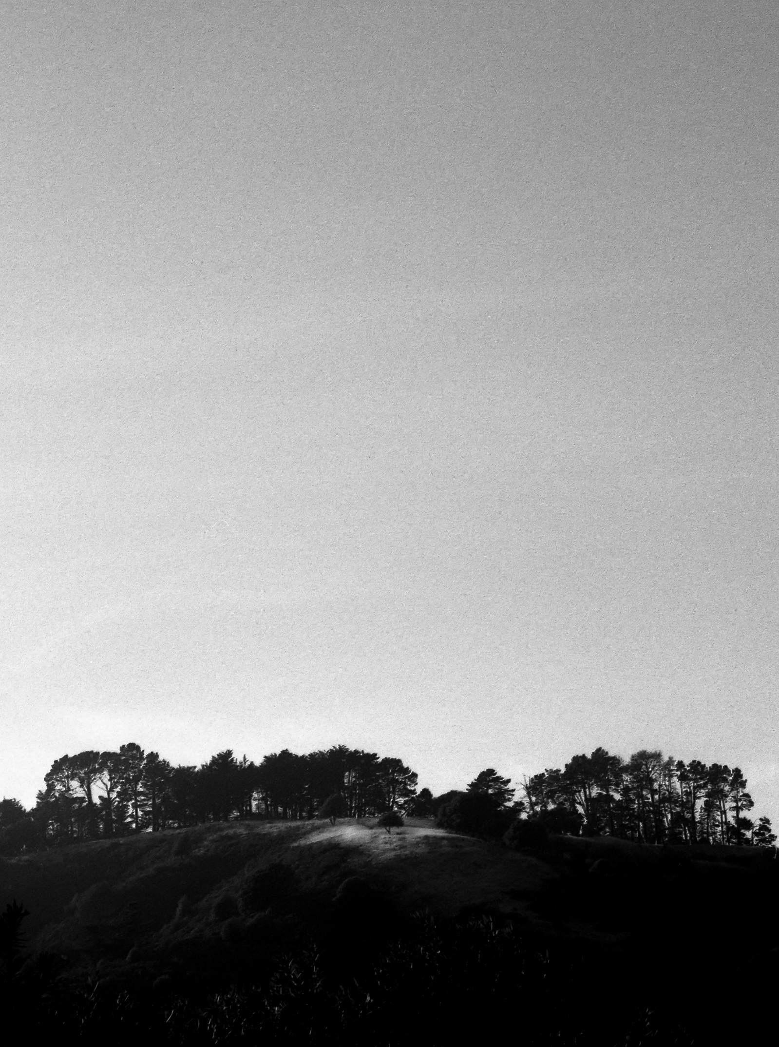 Bay area hillside in black and white. Light and shadow. Shot on Fuji GA-645i medium format film camera