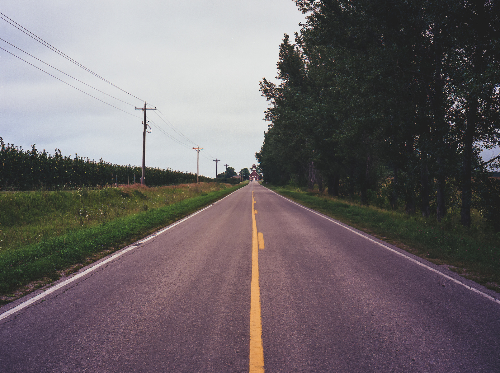 Route 637 in the central Leelanau Peninsula of northern Michigan. Shot on film on a Fuji GA645i