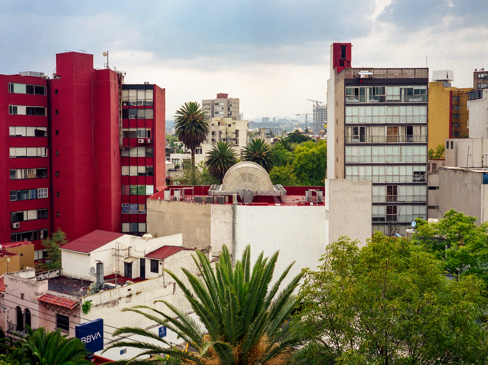 A view of a Mexico City skyline. Shot in medium format film on a Fuji GA645i camera.