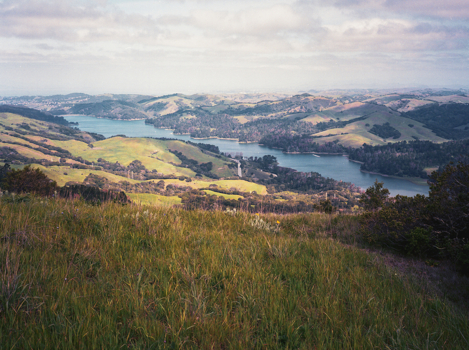 The San Pablo Reservoir with light and shadow. A California landscape shot on Fuji GA-645i medium format film camera