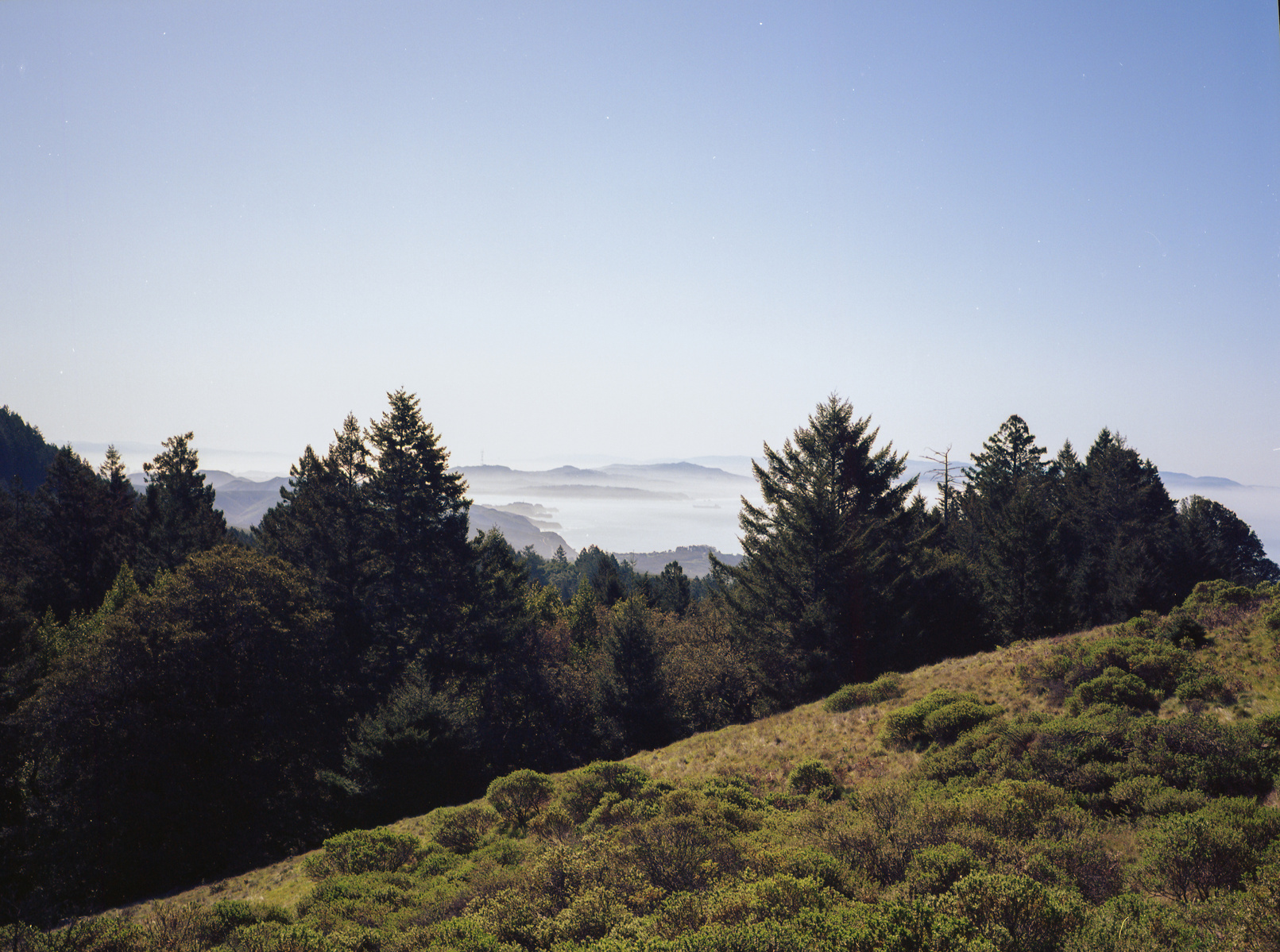 A view from Mount Tamalpais looking south toward San Francisco, with fog and ocean visible. Shot on Fuji GA-645i medium format film camera