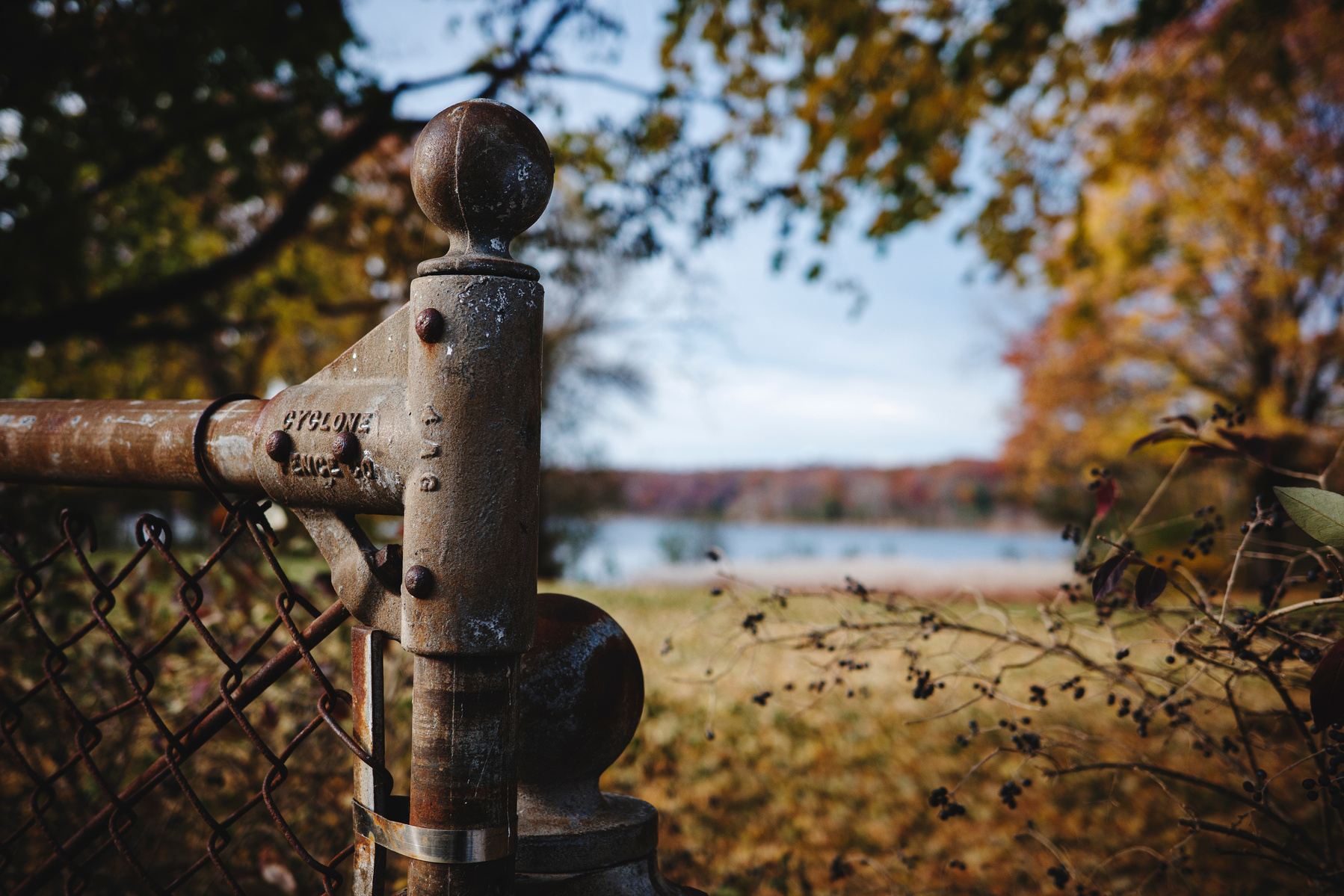 Autumn scene in Ann Arbor, shot on Ricoh GR IIIx