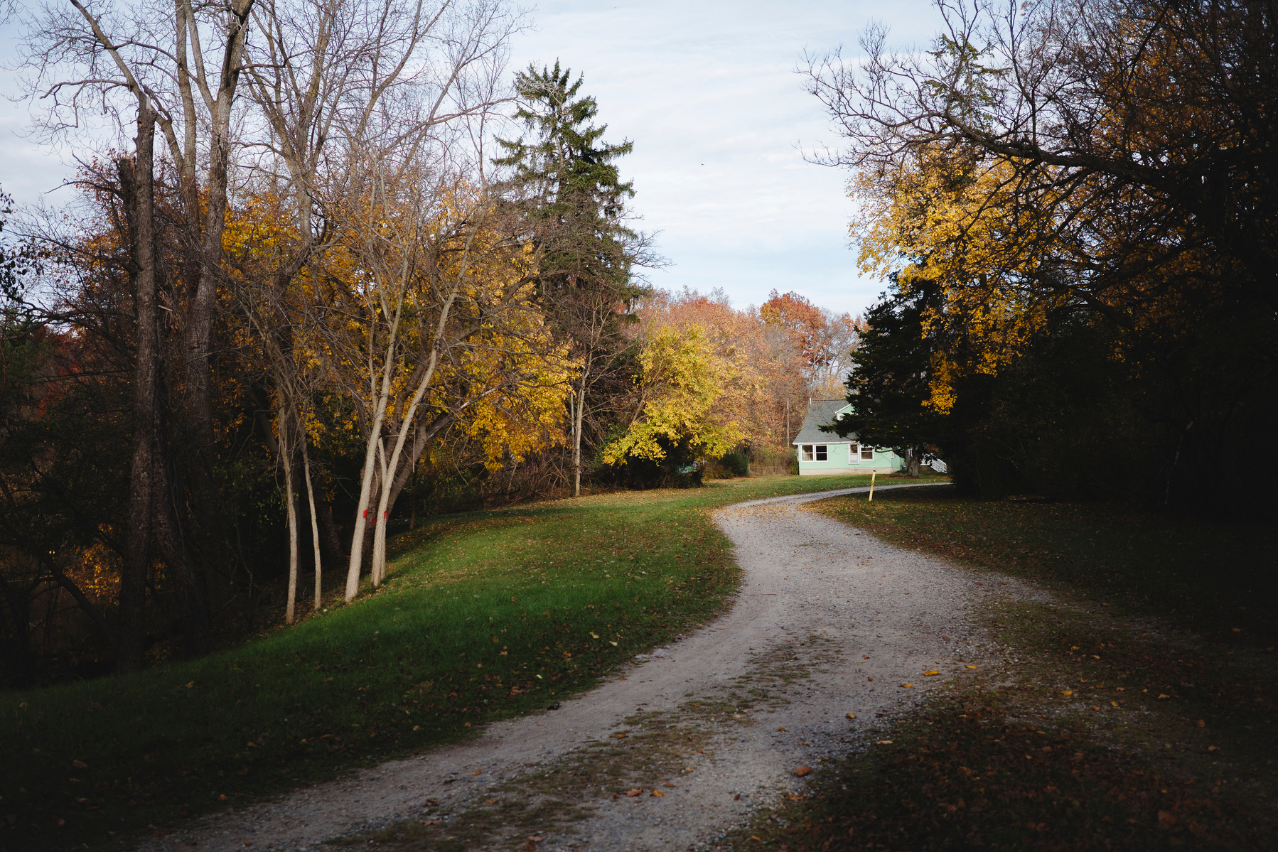 Autumn scene in Ann Arbor, shot on Ricoh GR IIIx