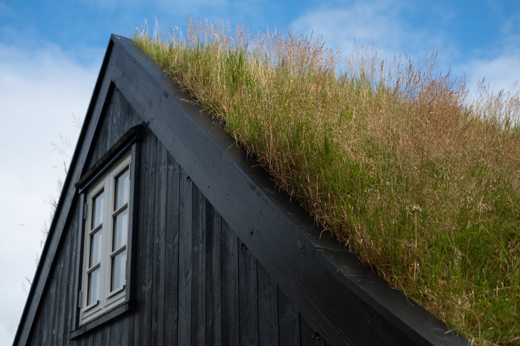 The sod roof of a local house in Tjørnuvík. Shot on a Fuji XT2