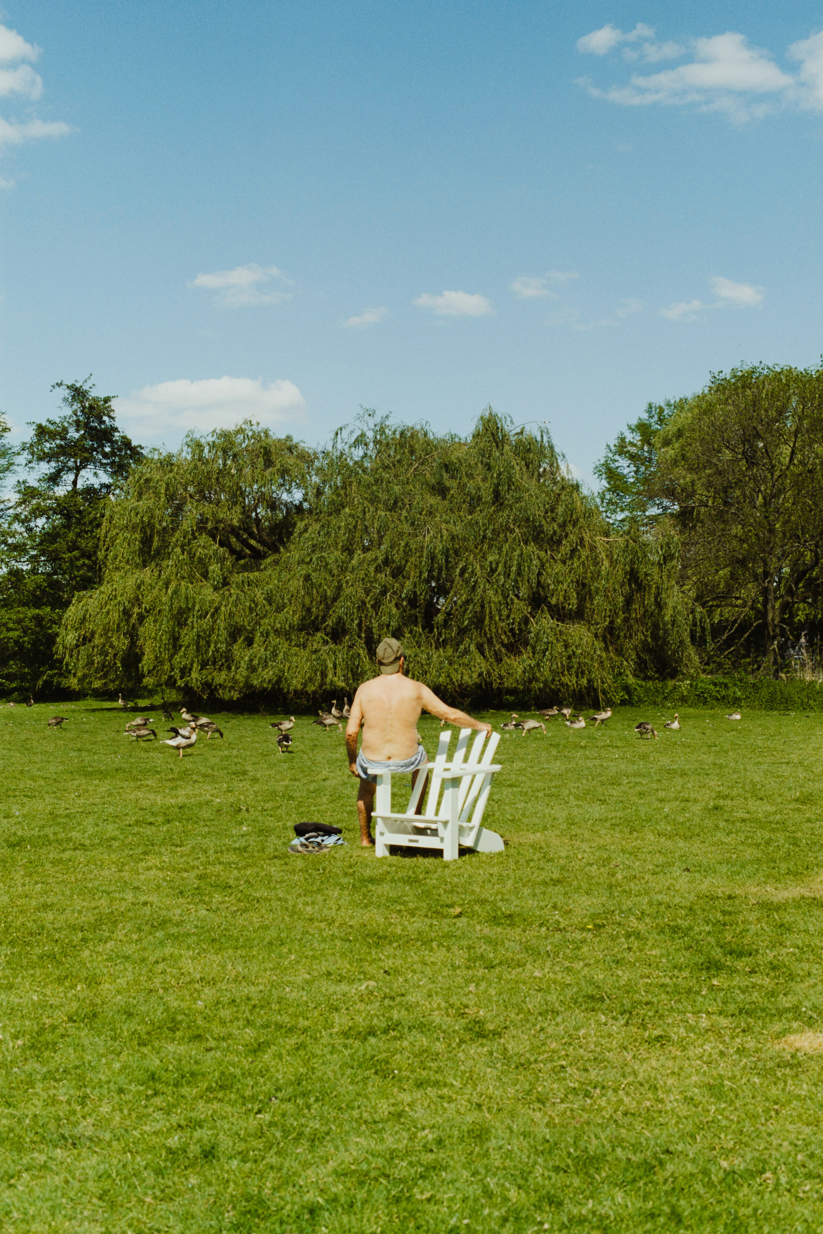 Elderly half naked man sitting on a chair in front of a flock of geese. Shot on Canon F1, Portra 400.