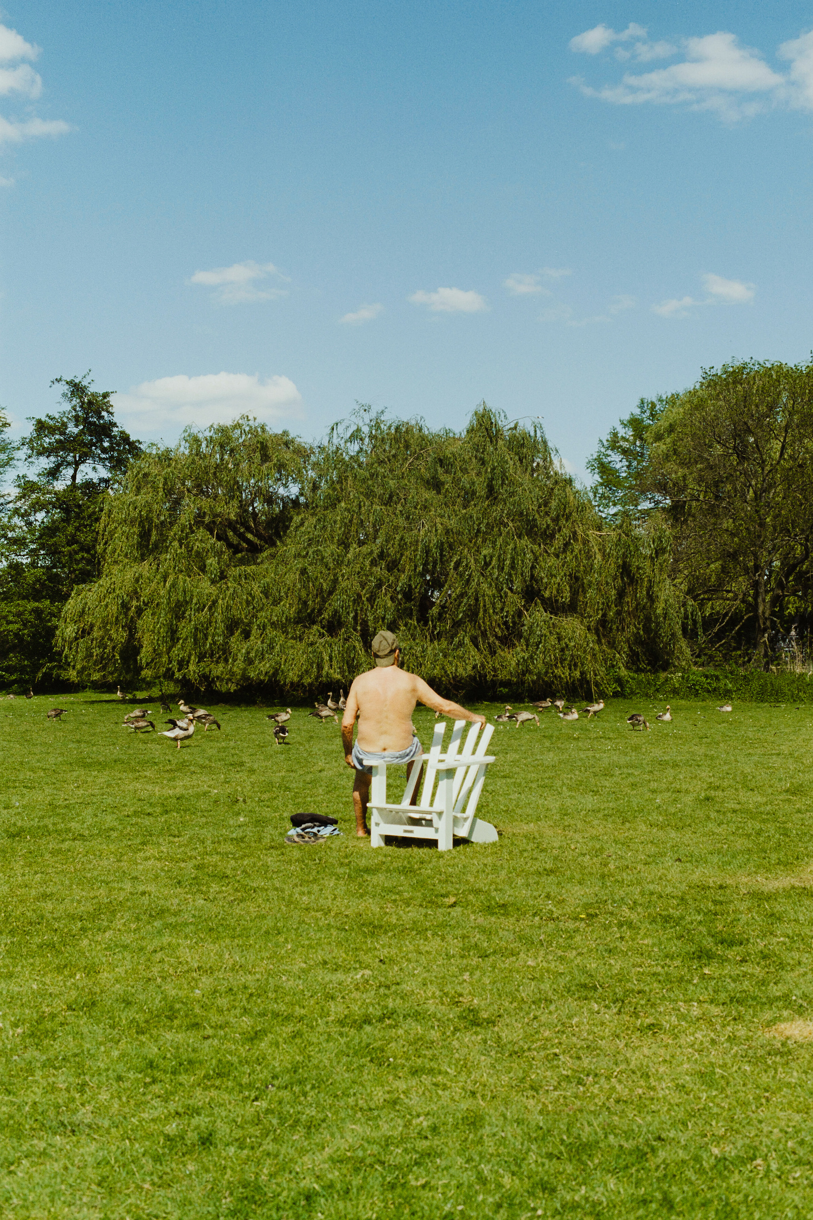 Elderly half naked man sitting on a chair in front of a flock of geese. Shot on Canon F1, Portra 400.