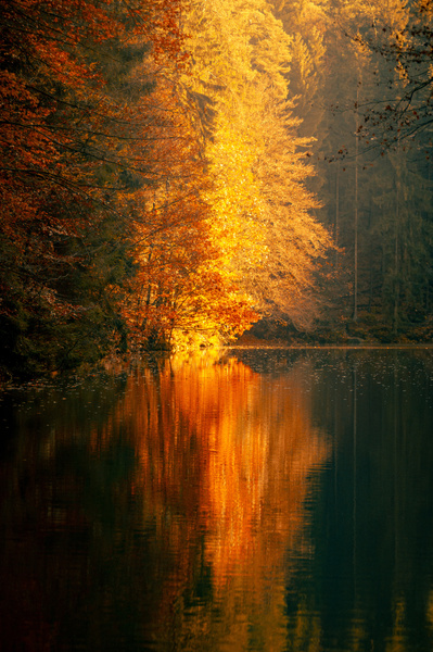 Indian summer leaves reflecting on a beautiful lake.