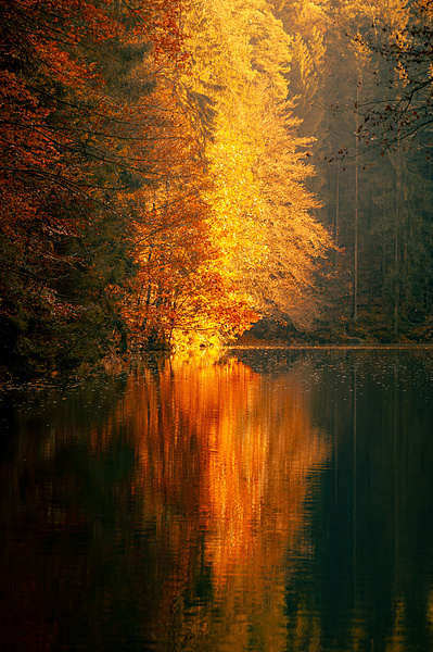 Indian summer leaves reflecting on a beautiful lake.