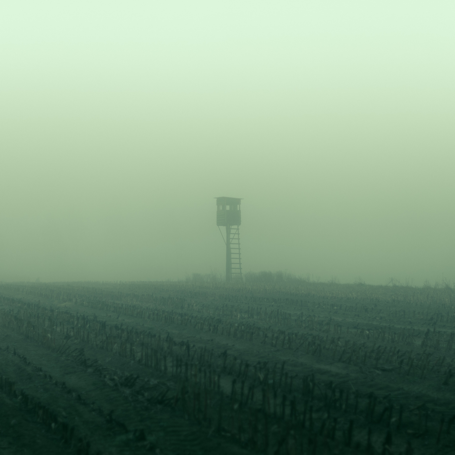 Cinematic photo of a distant shooting stand in the middle of an acre with greenish fog.