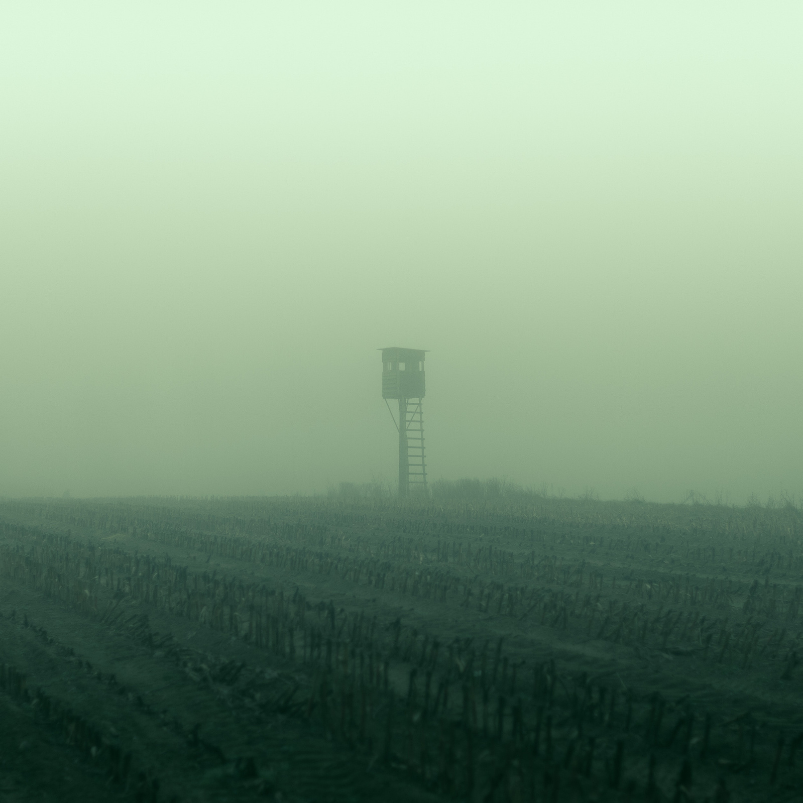 Cinematic photo of a distant shooting stand in the middle of an acre with greenish fog.