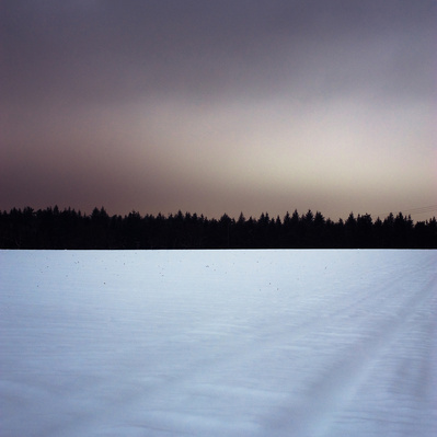 Gloomy night scene with a distant forrest and snow in the foreground.