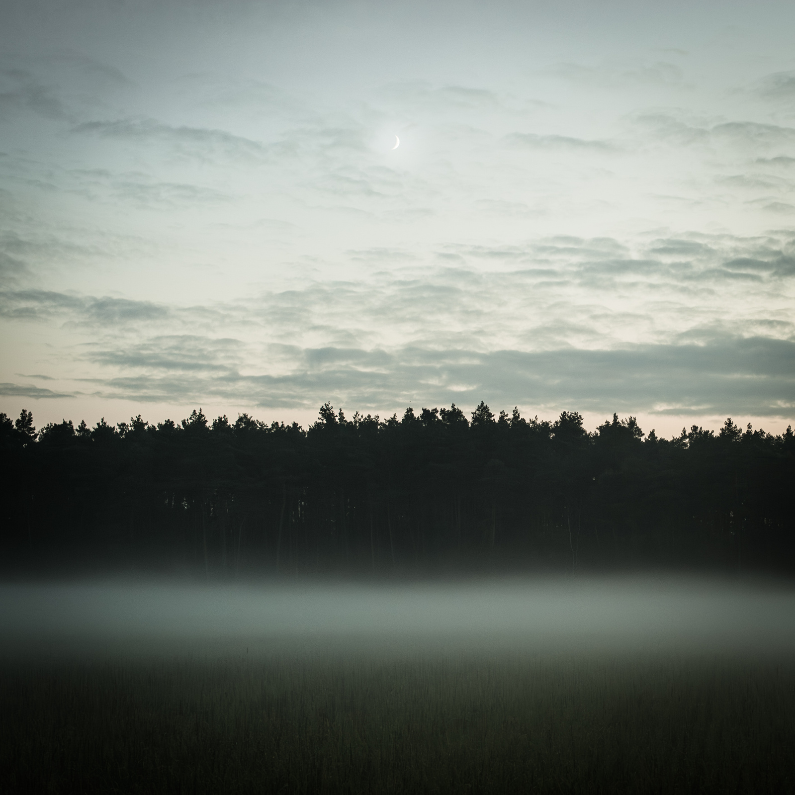 Night scene of the moon, a forrest and some fog in the foreground.