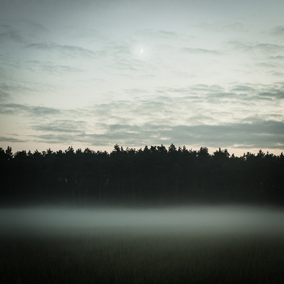Night scene of the moon, a forrest and some fog in the foreground.