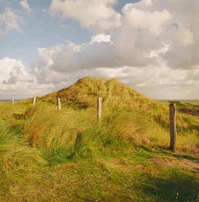 Green Hill by the North Sea, Sylt. Shot on analog medium format Hasselblad 500CM, Kodak Gold 200.