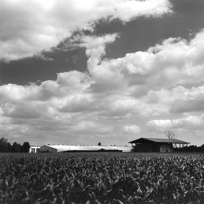 Black and white photo of an old barn and a cornfield in Eastern Germany. Hasselblad 500CM, Kodak Tri-X 400.