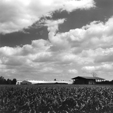 Black and white photo of an old barn and a cornfield in Eastern Germany. Hasselblad 500CM, Kodak Tri-X 400.