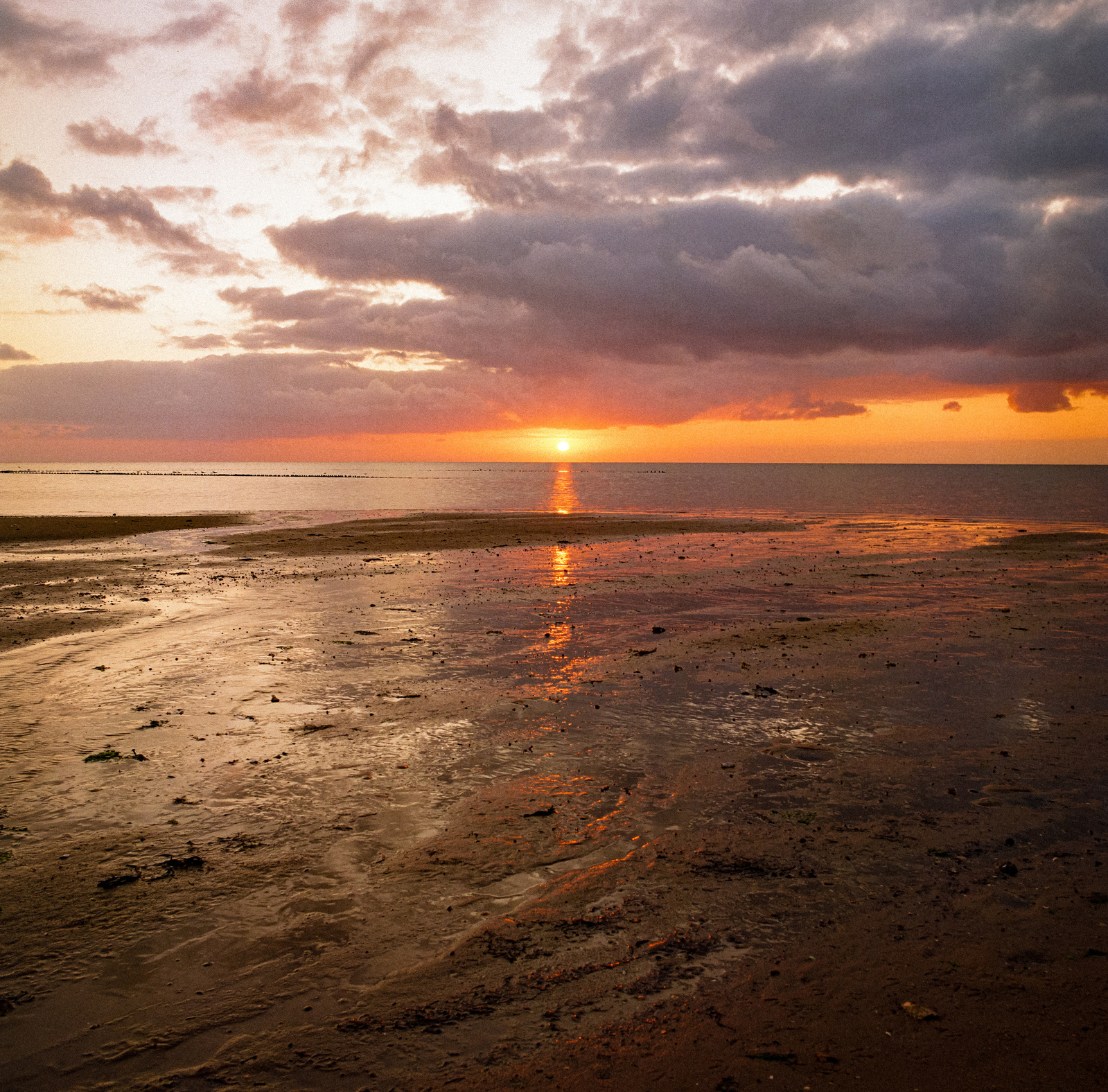 Golden sunrise by the coast of Sylt. Shot on analog medium format Hasselblad 500CM, Portra 400. 