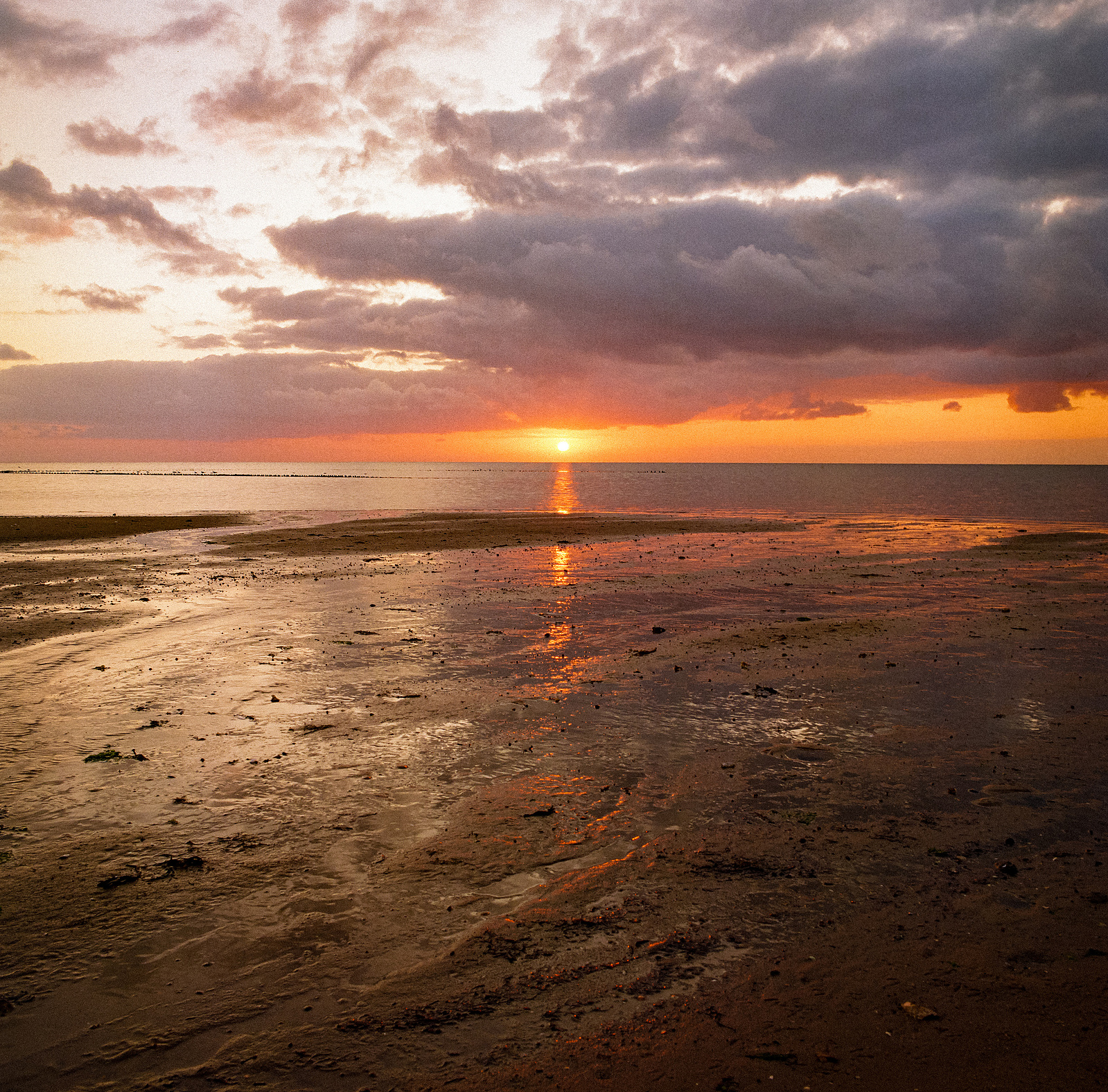 Golden sunrise by the coast of Sylt. Shot on analog medium format Hasselblad 500CM, Portra 400. 