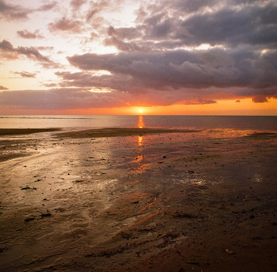 Golden sunrise by the coast of Sylt. Shot on analog medium format Hasselblad 500CM, Portra 400. 