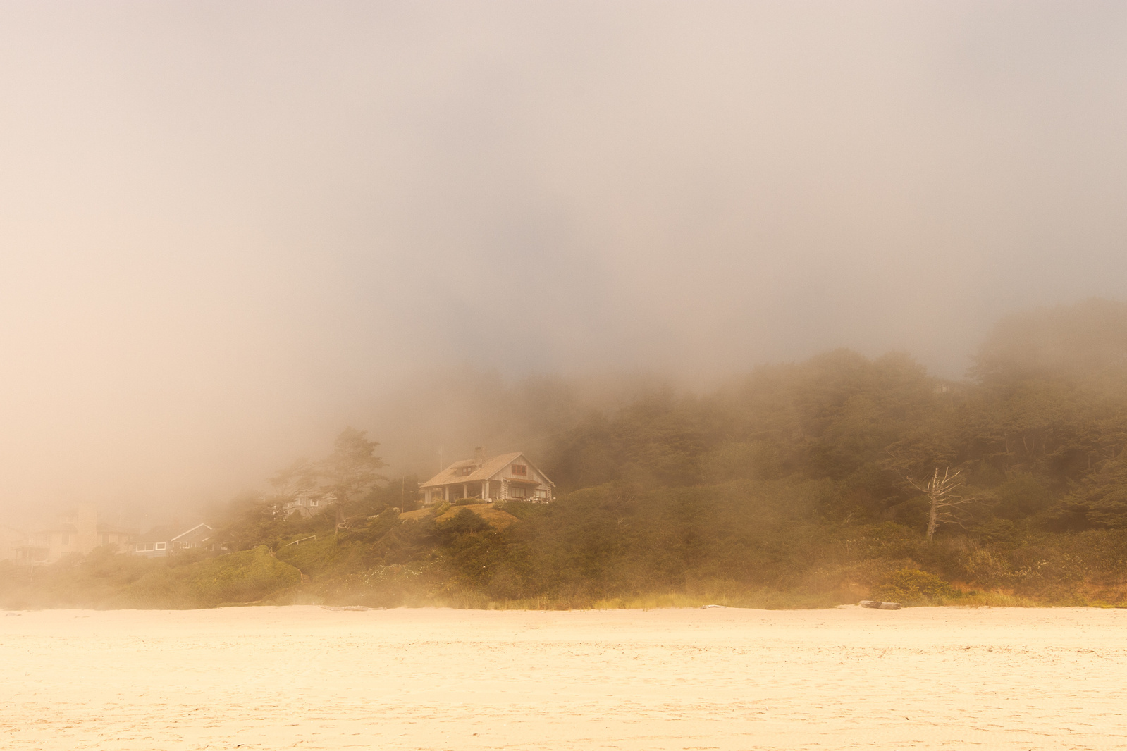 Cinematic shot of a foggy landscape with a small lake in the Pacific North West.
